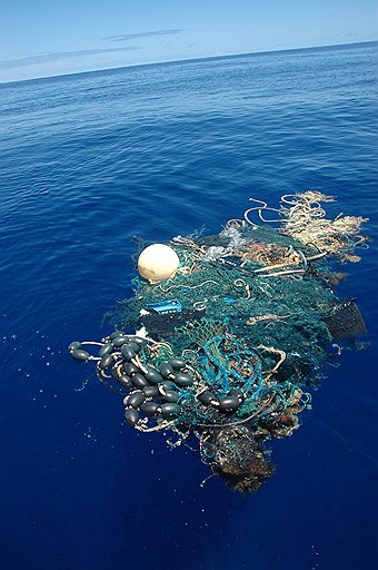 Главный компонент океанического мусора — рыболовные сети