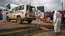 Нынешняя вспышка лихорадки Эбола необычна: она распространилась очень широко и застала мир врасплох