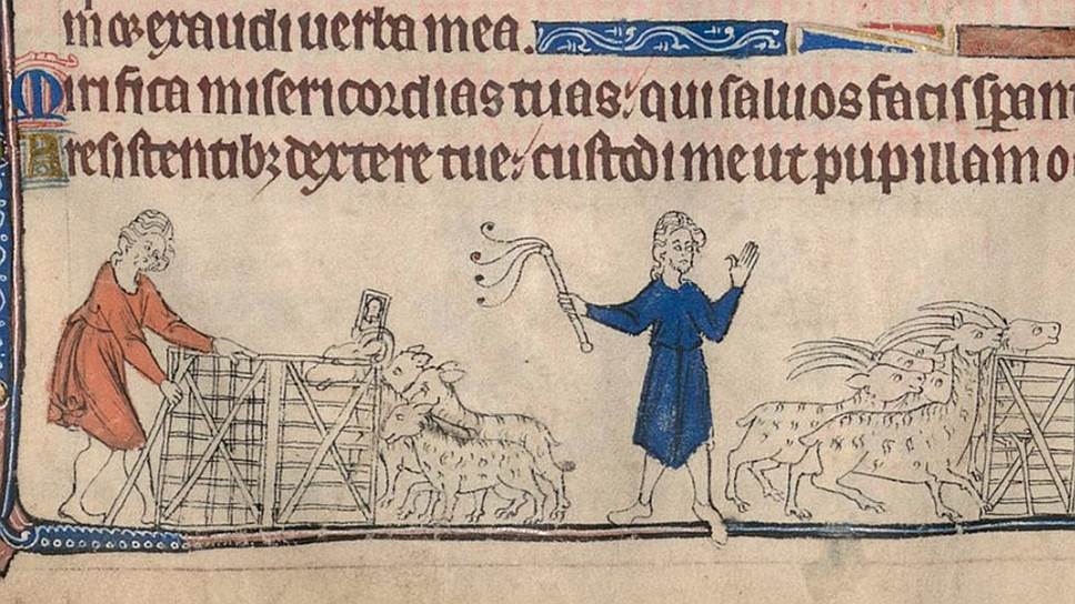 Скотоводство, козы и бараны. Начало XIV века. Псалтырь королевы Изабеллы Английской 

