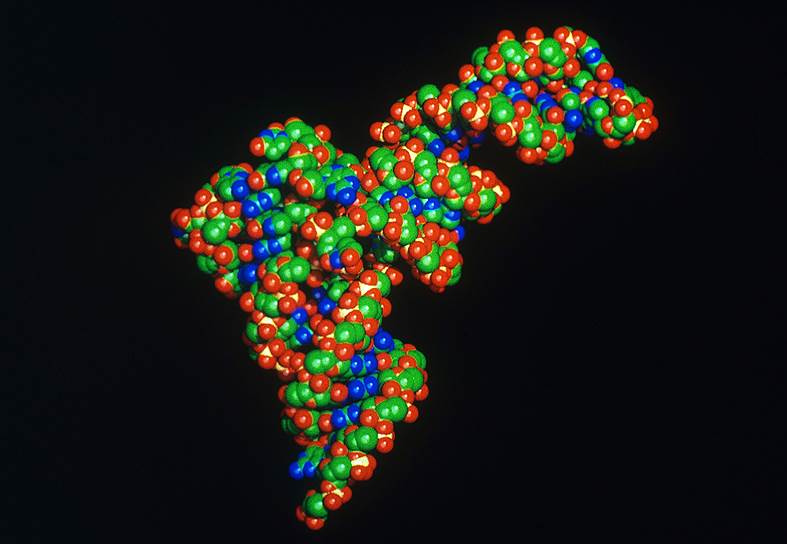 С развитием полногеномных технологий появляется все больше работ о не кодирующих белки РНК
