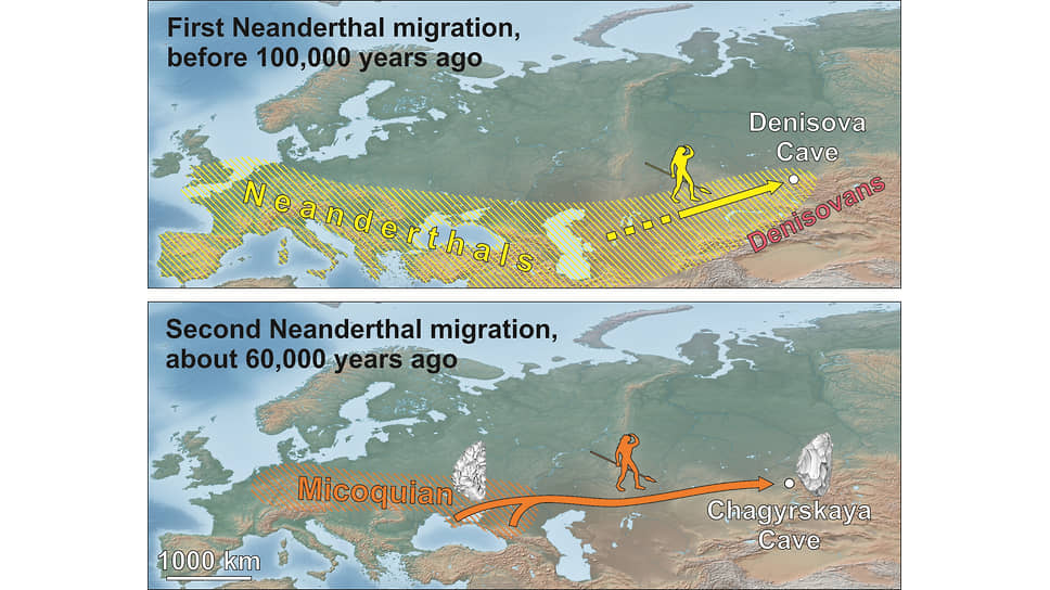 Две волны миграции Homo neanderthalensis