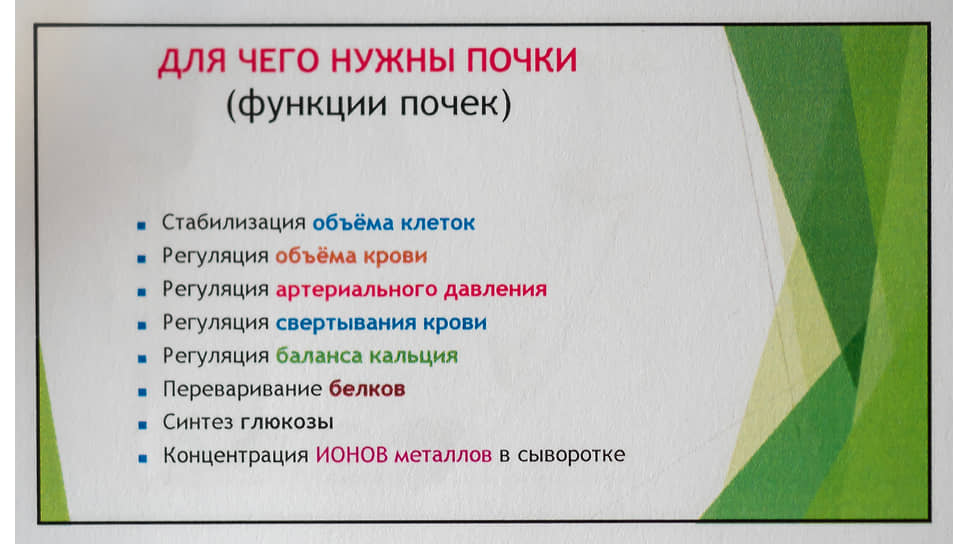 Фрагмент доклада (презентации) академика Наточина