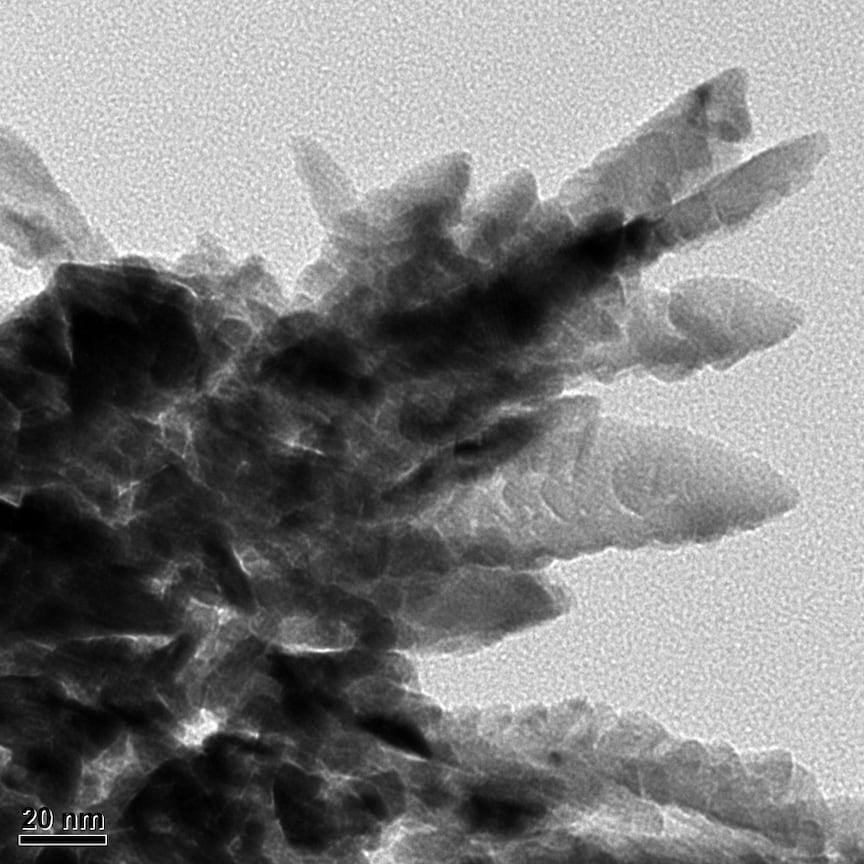 Снимок дендритных структур, сделанный методом электронной микроскопии