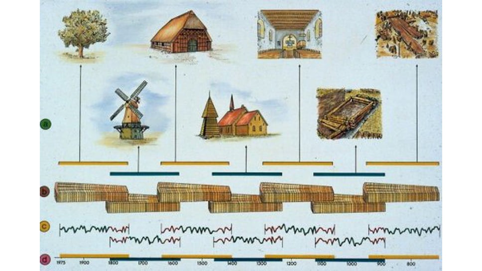 Иллюстрация построения длинной дендрошкалы на основе перекрестного датирования образцов из разных источников: живых деревьев, архитектурных и археологических объектов