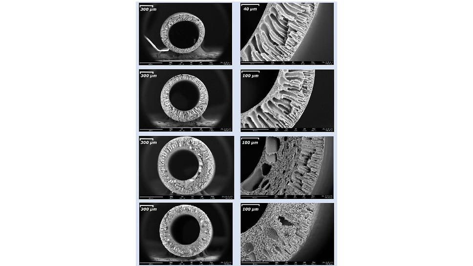 Images of hollow fiber membrane samples made on the manipulator