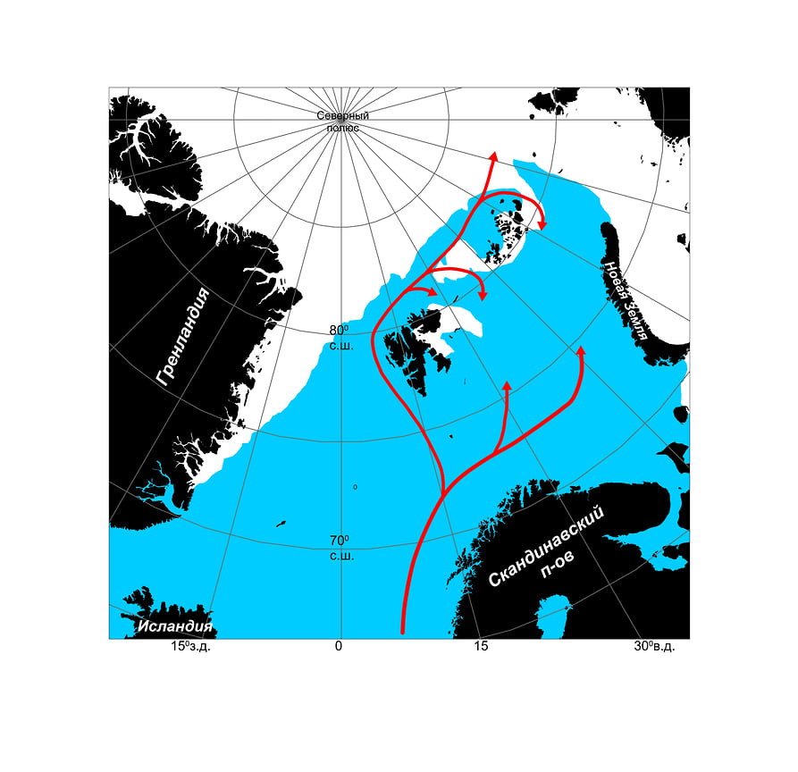 Граница льда (белый цвет) и открытой воды (голубой цвет) в восточно-атлантическом секторе Северного Ледовитого океана 26 февраля 2016 г. Красными стрелками показаны траектории переноса вод атлантического происхождения