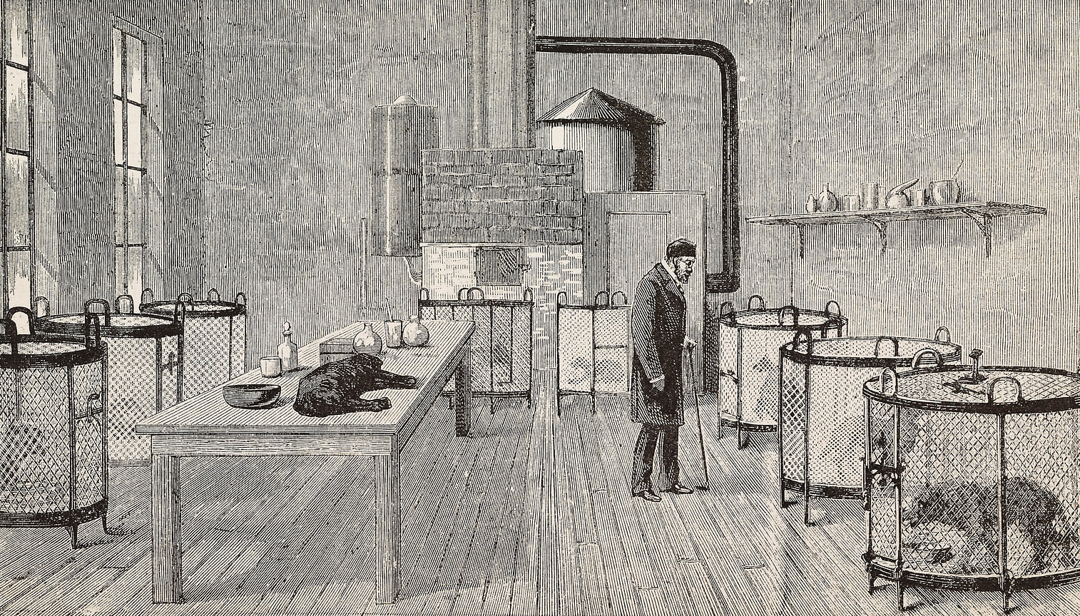Собаки в клетках в лаборатории французского химика и биолога Луи Пастера (1822-1895), Париж, Франция, гравюра, 1885 года