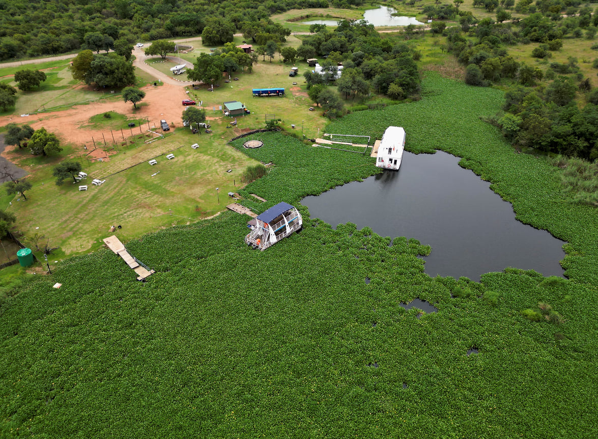 Река с инвазивными зелеными водными гиацинтами у плотины Хартбиспурт, неофициально известной как «Хартис», небольшого курортного городка в еверо-Западной провинции Южной Африки