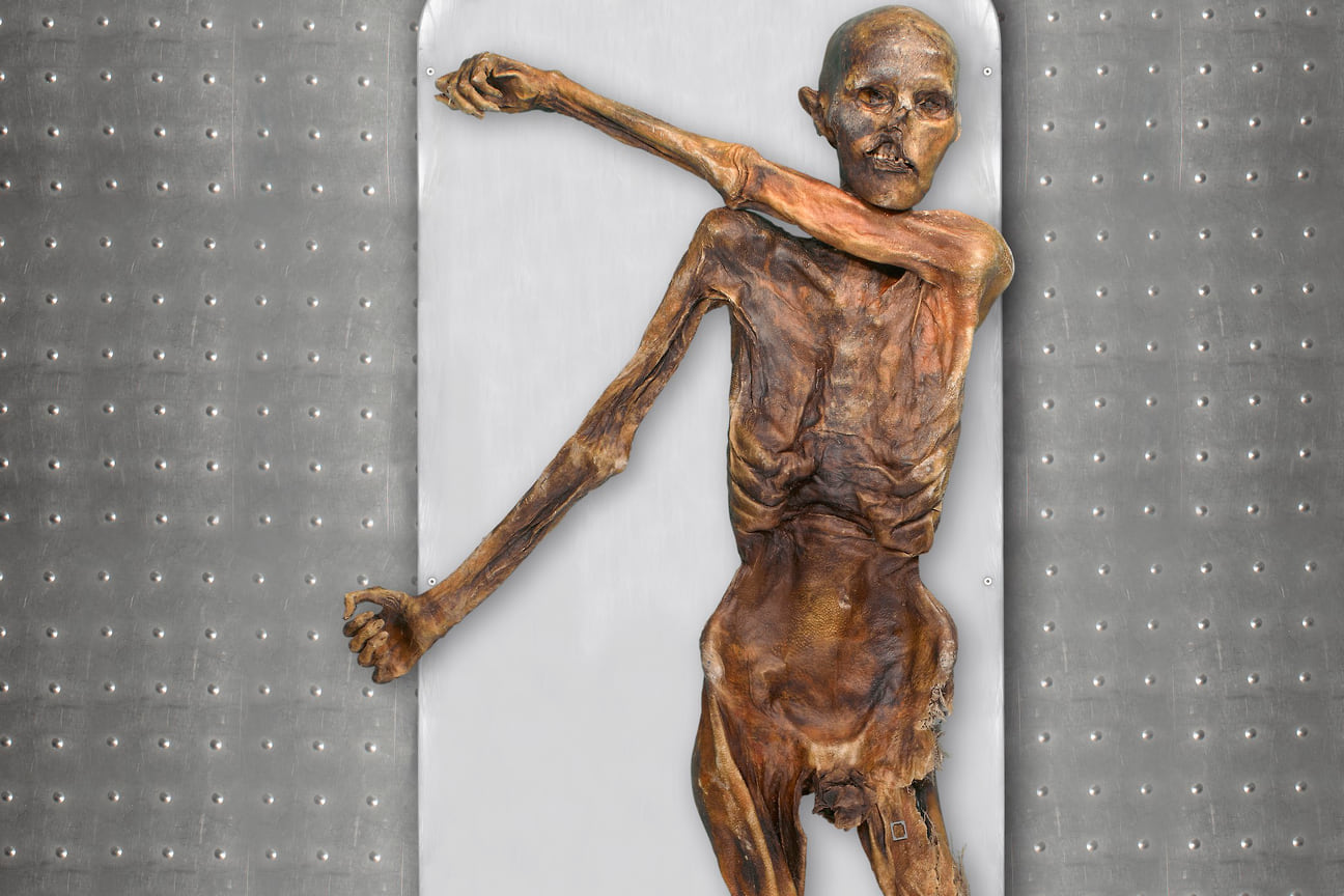 Одна из старейших человеческих ледниковых мумий Ледяной человек Этци. Музей археологии Южного Тироля