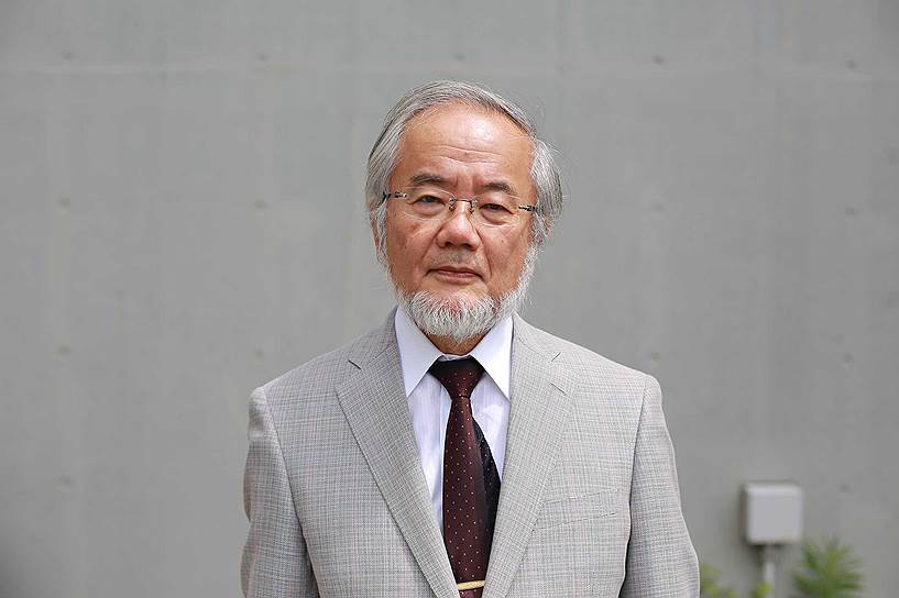 Японский ученый-биолог Ёсинори Осуми