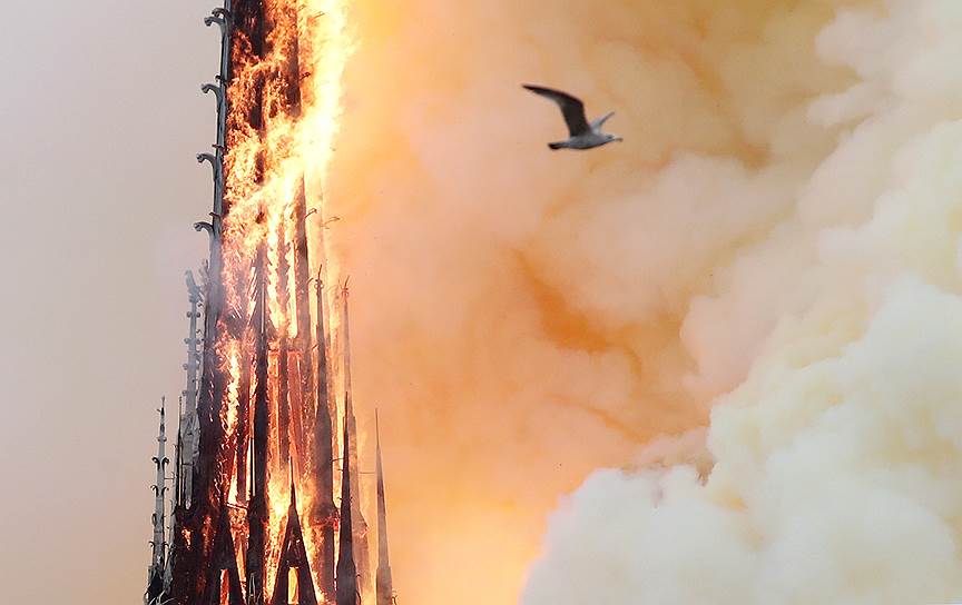 Французский бизнесмен Франсуа-Анри Пино пообещал пожертвовать €100 млн ($113 млн) на восстановление сгоревшего собора Парижской Богоматери