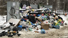 Жители Кирова жалуются на мусорный коллапс