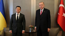 Президенты Турции и Украины начали встречу в Стамбуле