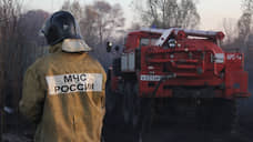 Под Воронежем в ландшафтных пожарах сгорело несколько домов