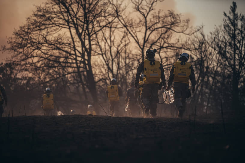 Грузинские резервисты во время тушения пожаров 