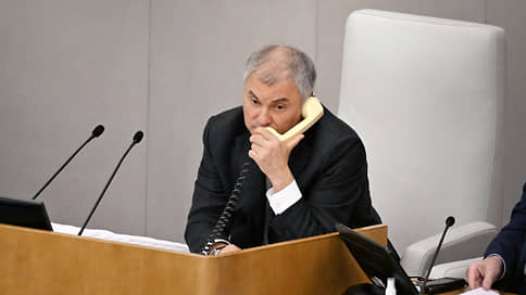 Володин не считает Украину самостоятельным государством