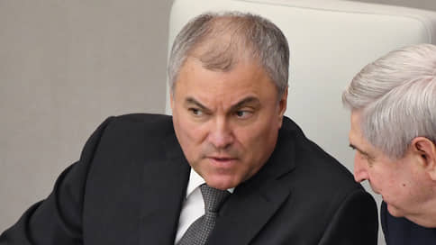 Володин допустил появление уголовной ответственности в законе о запрете ЛГБТ-пропаганды
