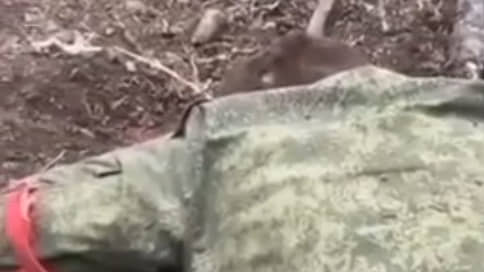 Появилось видео с еще одним возможным расстрелом российских военнопленных