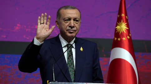 Эрдоган: Турция имеет право самостоятельно решать проблемы в Сирии и Ираке