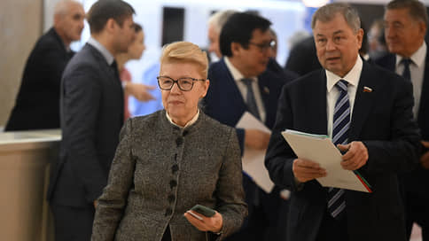 Мизулина призвала защитить права эмбрионов в пробирке