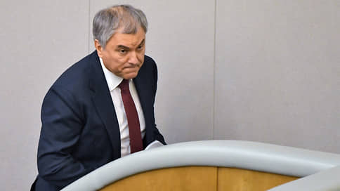 Володин выступил за создание международного трибунала для Олланда, Меркель и властей Украины