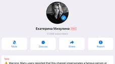 РКН потребовал от Telegram ограничить доступ к фейковому каналу Мизулиной