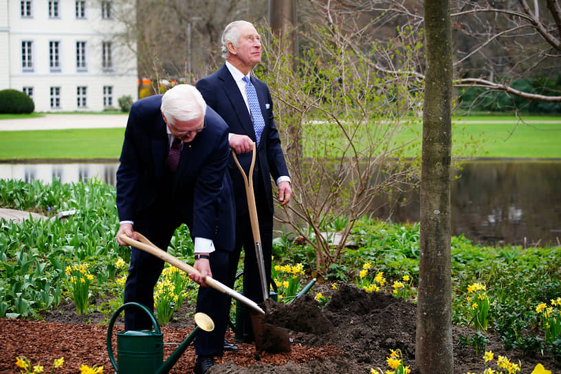 Король Карл III и президент Германии Франк-Вальтер Штайнмайер сажают дерево