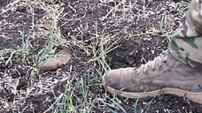 Эксперты ООН заявили о нарушении Украиной договора о запрете противопехотных мин