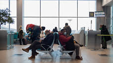 В московских аэропортах из-за снегопада задержано и отменено более 50 рейсов