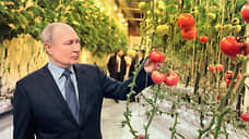 Путин осмотрел чукотские помидоры и огурцы