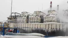 Пожар на терминале НОВАТЭКа в Усть-Луге ликвидирован