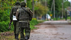 Старовойт: российские военные остановили атаку украинской ДРГ у поселка Теткино