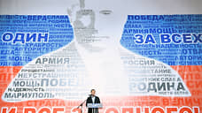Единороссы подсчитали свой вклад в победу Владимира Путина