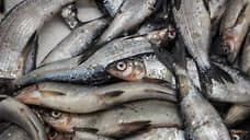 Суд передал государству акции двух рыбопромышленных компаний на Дальнем Востоке