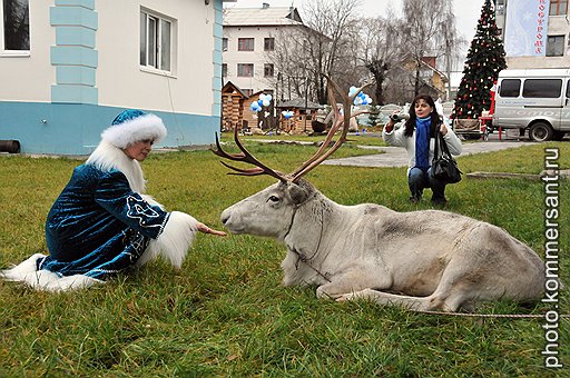 В Костроме нет снега, и даже олень привозной. Зато со Снегурочками — перебор. Четырнадцать претенденток на место