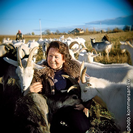 Лариса Суханова и ее козы, которых она знает по именам