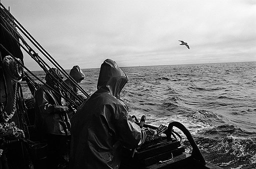 Обработка краба на рыбацком судне в Охотском море