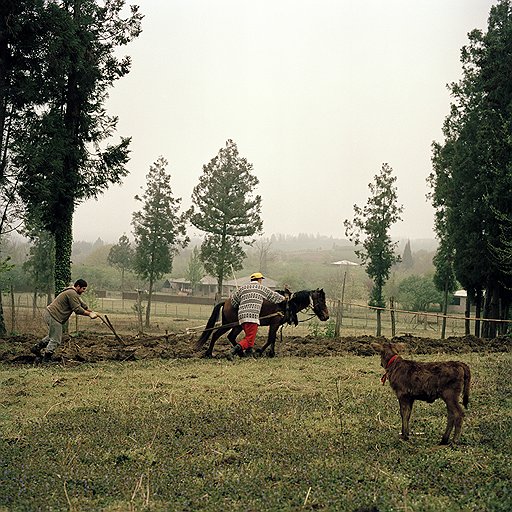 В селе Первели, как, впрочем, и в других селах района, сельхозтехника незатейлива -- лошадь да плуг