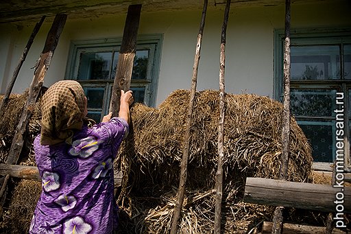 Старые хаты, утепленные соломой, в Залесцах можно купить за 2 тысячи гривен — это примерно 7 тысяч рублей