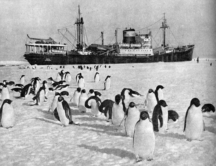 В середине 20 века антарктида для многих. Первая Советская антарктическая Экспедиция 1956. Первая Советская Экспедиция в Антарктиду. Антарктическая Экспедиция в 1955. Экспедиция на Антарктиду 1956.