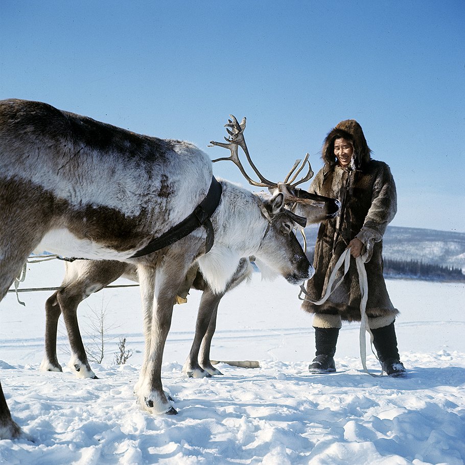 Народам Сибири и в мороз вполне комфортно. В этом им помогают гены