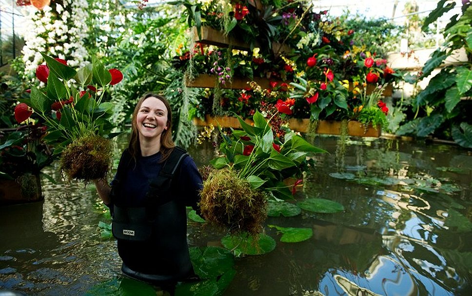 Подмастерья-садоводы на фестивале тропических растений в Лондоне 
