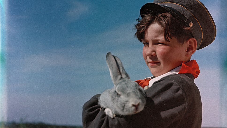 Бригадир кролиководов школьного колхоза. 1958 год 