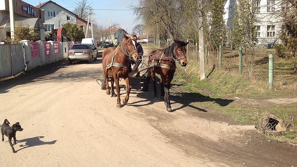 В селе Летня некоторые семьи по-прежнему держат в хозяйстве лошадей с упряжкой
