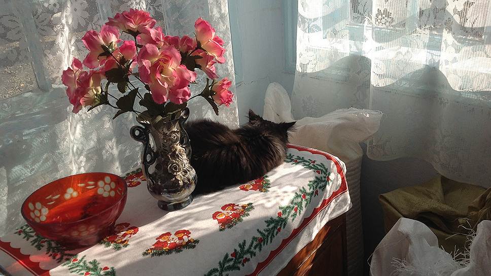 У погибшего на Майдане Богдана остались кошка, собака и десяток декоративных кур 
