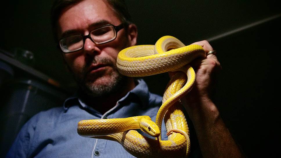 В зоопитомнике наедине со змеями ученый чувствует себя лучше всего 
