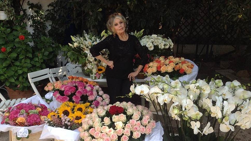 Брижит Бардо среди цветов, которые она получила на 80-летие. Фото из Twitter актрисы