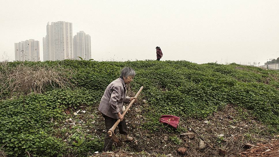 Чанша, провинция Хунань. Дом этой женщины недавно снесли ради очередной грандиозной стройки. Теперь она ищет оставшиеся овощи на месте бывшего огорода 
