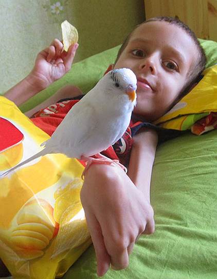 Дима и его новый друг — попугай Ники
