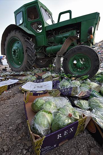В Крыму бдительные таможенники обнаружили европейские овощи под украинской картошкой. Картошка отправилась в магазины, а капуста — на свалку 
